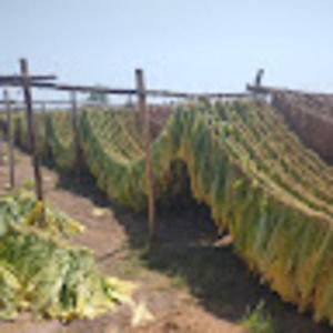 Meet your Posher, Sergio lópez torres